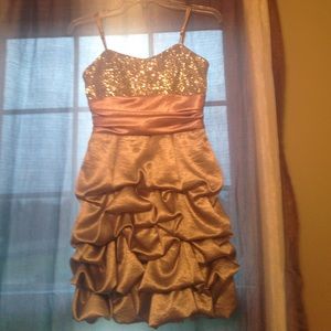 Winter Formal/Semi-formal dress