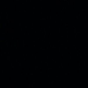 Meet your Posher, Cassandra