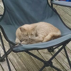 Meet your Posher, Stacy