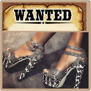 ISO Brian Atwood CLEA Platform