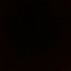 Meet your Posher, Dylan