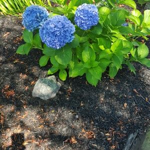 Meet your Posher, Rene