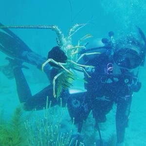 Meet your Posher, Rachael