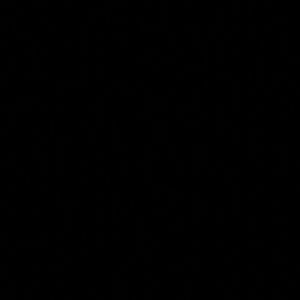 Meet your Posher, Adi