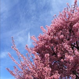 Meet your Posher, Luna