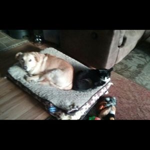 Meet your Posher, Sabrina