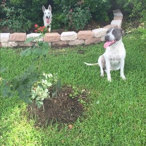 Meet your Posher, Graciela