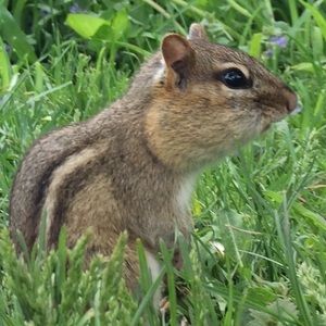 Meet your Posher, Molly