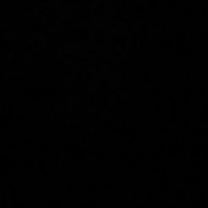 Meet your Posher, Celia