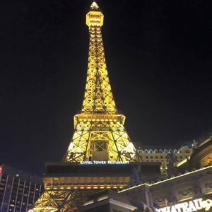 Meet your Posher, Arlene