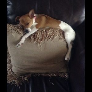 Meet your Posher, Judi