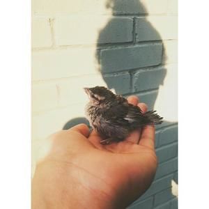 Meet your Posher, Bianca