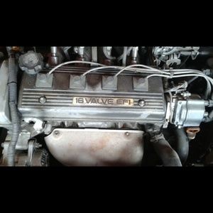 Meet your Posher, Selena