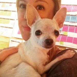 Meet your Posher, Laurie