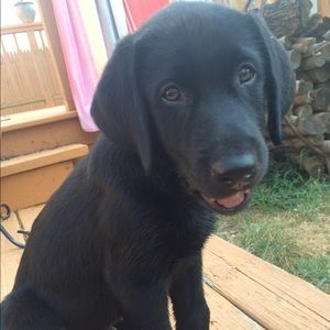 Meet your Posher, Huda