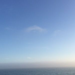 Meet your Posher, Liliana