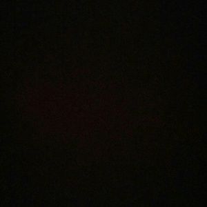 Meet your Posher, Janette