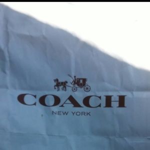 Meet your Posher, Lizzy