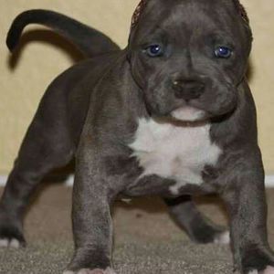 Meet your Posher, Jose