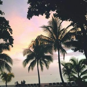 Meet your Posher, Jami