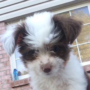 Meet your Posher, Katelyn