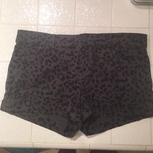 Black Leopard Print Shorts