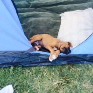 Meet your Posher, Monica