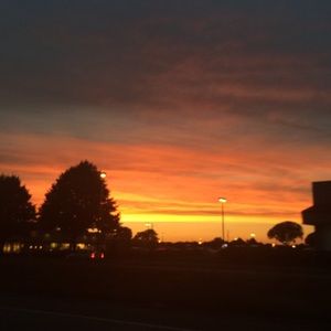 Meet your Posher, Juliet