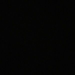 Meet your Posher, Adele