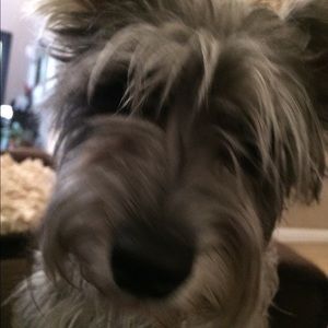 Meet your Posher, Bobby