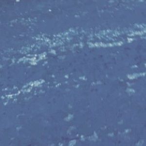 Meet your Posher, Pat