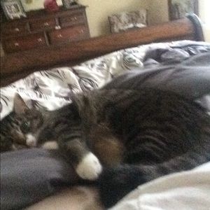 Meet your Posher, Samantha