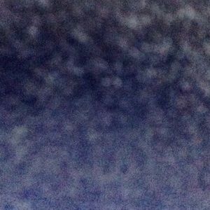 Meet your Posher, Reagan