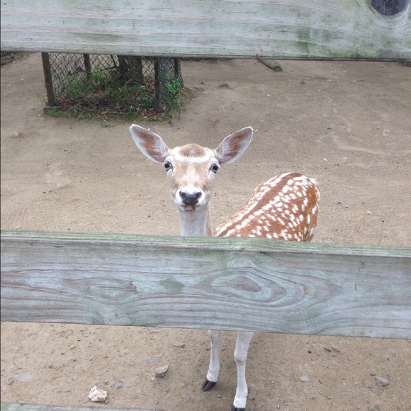 Meet your Posher, Madison