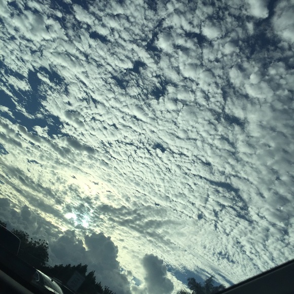 Meet your Posher, Karla - Picture 1 of 1