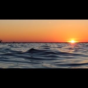 Meet your Posher, Graham