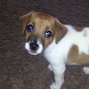 Meet your Posher, Whitney