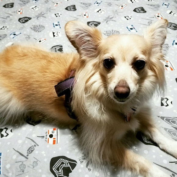 Meet your Posher, Jessica - Picture 2 of 2