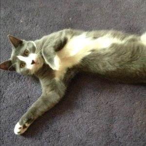 Meet your Posher, Ali