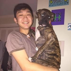 Meet your Posher, Hao