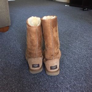 Chestnut Uggs