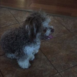 Meet your Posher, Mayra