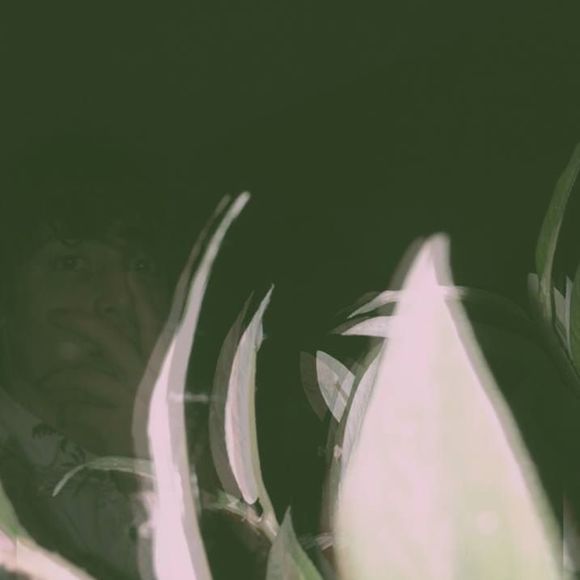 Meet your Posher, Dylan - Picture 1 of 1