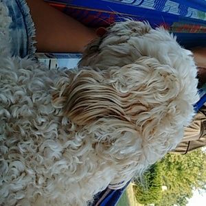 Meet your Posher, Roxanne