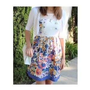 Zara Illusion Neckline Floral Dress