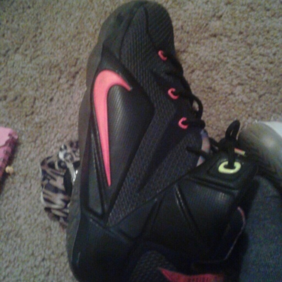 Lebrons - Picture 2 of 4