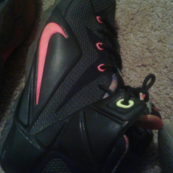 Lebrons - Picture 3 of 4