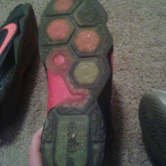 Lebrons - Picture 4 of 4