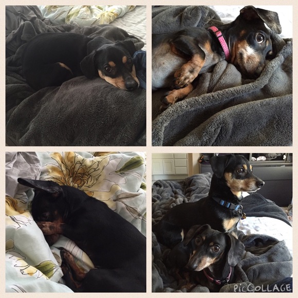 About me!! - Picture 2 of 4