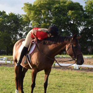 Meet your Posher, Grace